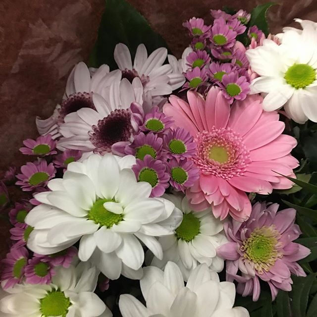 Les fleurs sont les câlins des amis.