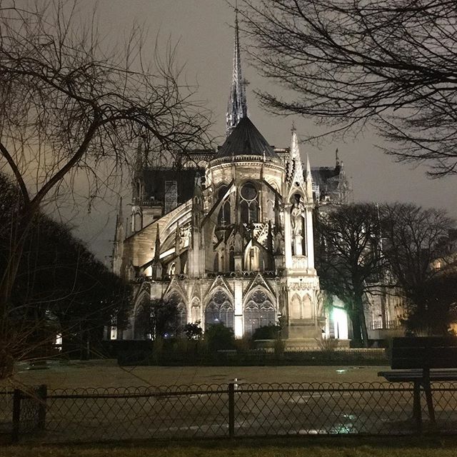 Notre Dame de Paris de Nuit et de Dos