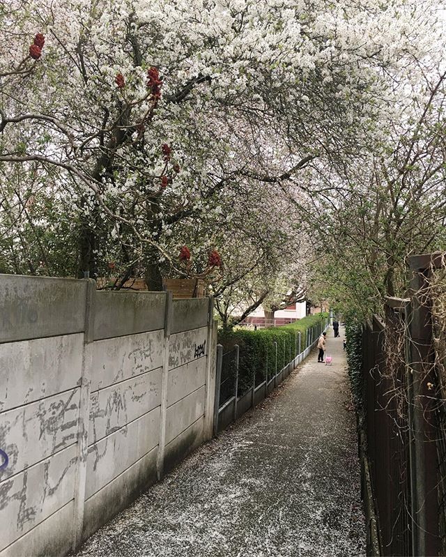 Du béton et des fleurs.