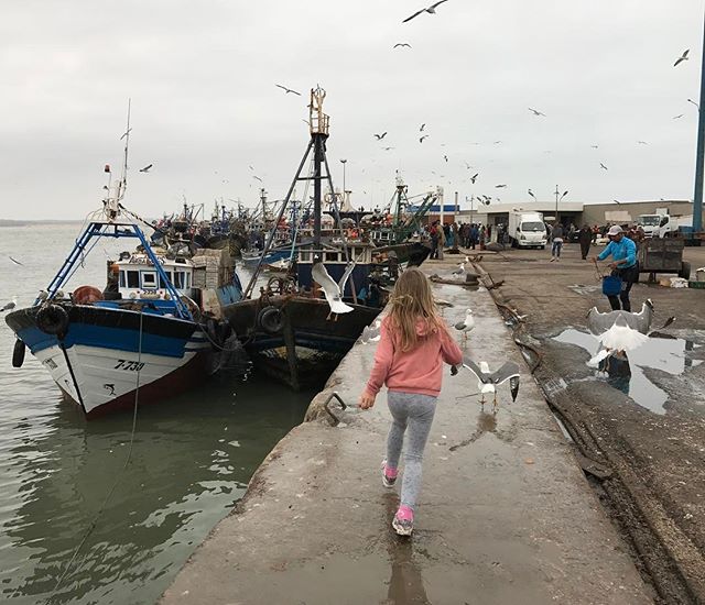 Courir derrière les mouettes, l'activité préférée de l'enfance non ? #essaouira #ciloubidouilleauMaroc