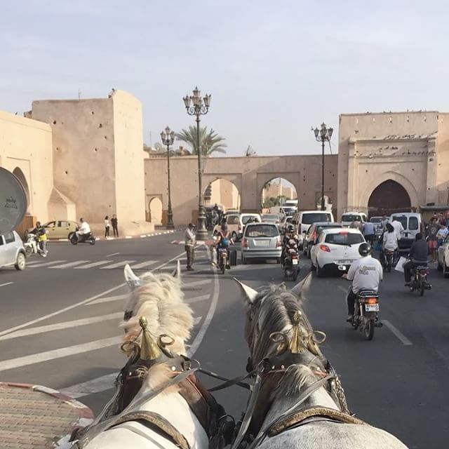Un petit tour de calèche ? #marrakech #ciloubidouilleauMaroc