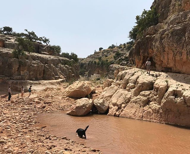 Superbe balade vers une école coranique perchée en haut d'une montagne... #sidieljazouli #essaouira #ciloubidouilleauMaroc