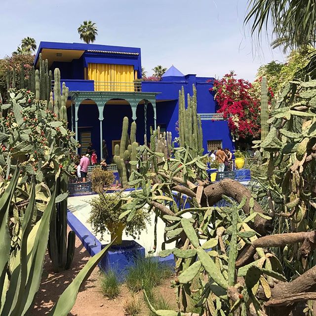 Le bleu de la maison du jardin de Majorelle est hypnotique #jardindemajorelle #marrakech #ciloubidouilleauMaroc