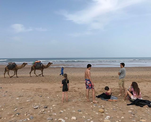 Dernier passage à la mer. Cette aprem on file à Marrackech #ciloubidouilleauMaroc #essaouira #sidikaouki