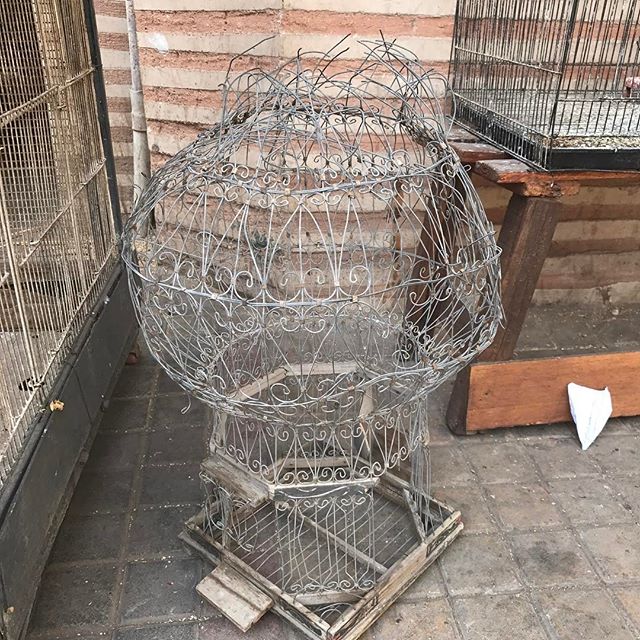 Ca m'a donné envie de terminer la cage ! #marrakech #ciloubidouilleauMaroc