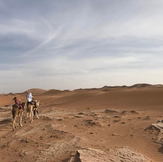 A nous les dûnes, amplement méritées après ce voyage long et éreintant #désertmarocain #chegaga #ciloubidouilleauMaroc #maroc