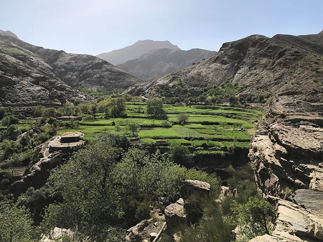 La région est caillouteuse mais partout des oasis verdoyantes créées par les hommes qui suivent l'eau... #montagnesAtlas #ciloubidouilleauMaroc #atlas