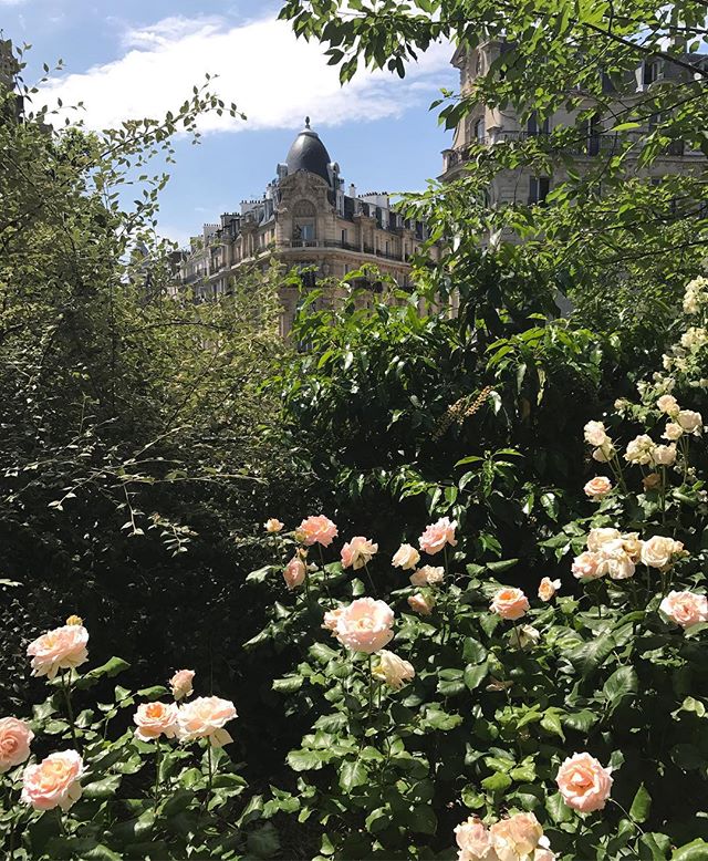 La coulée verte, fleurie, verdoyante ! J'adore être une touriste à Paris :)