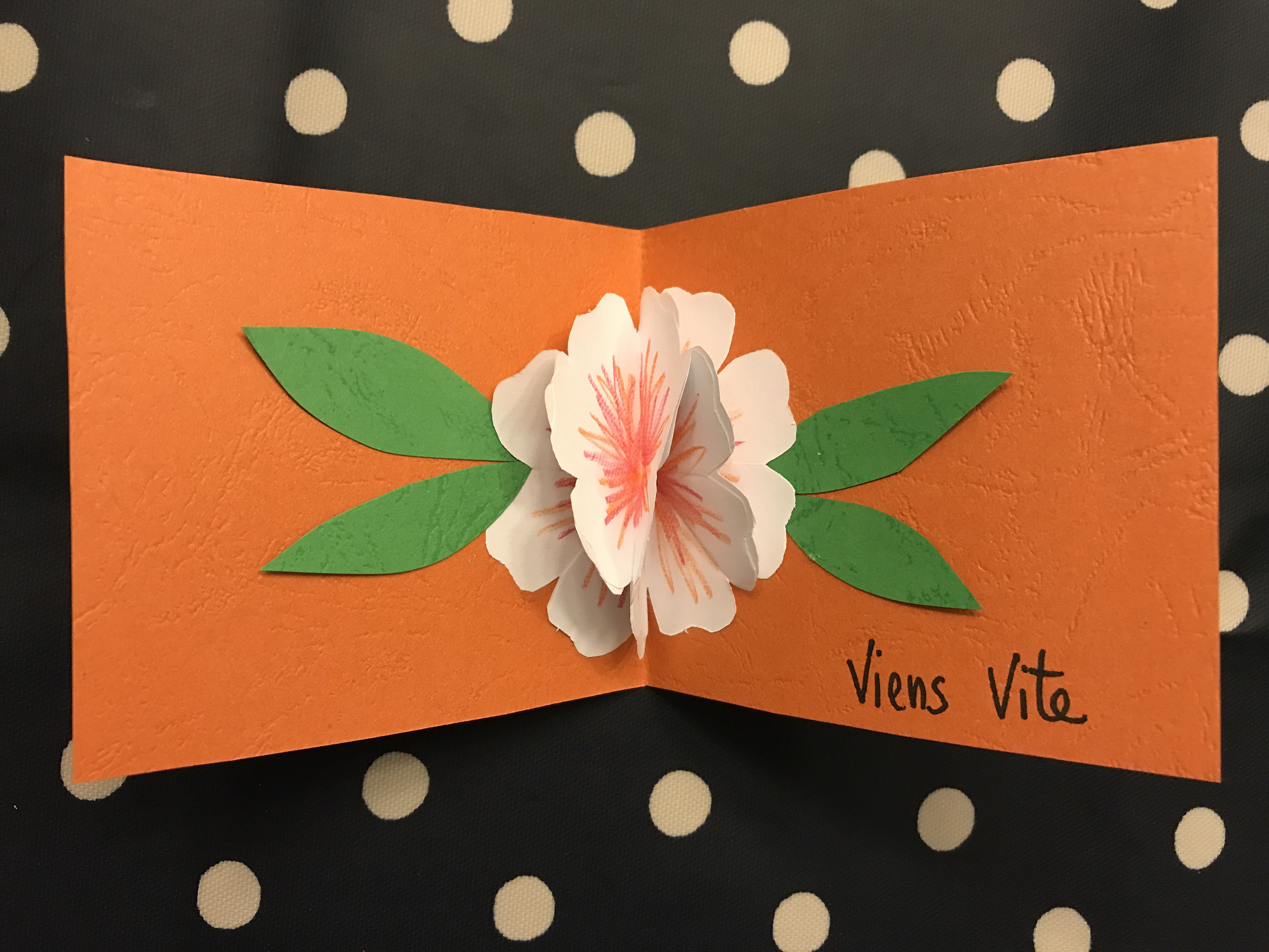 Carte Anniversaire Pop Up - Grande Taille