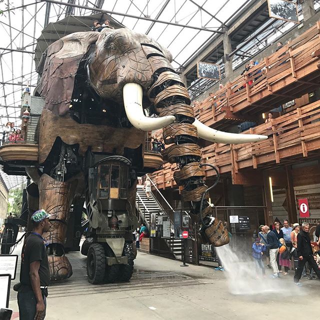 Toujours aussi magique cet éléphant des Machines de Nantes #nantes #machinesdelîle