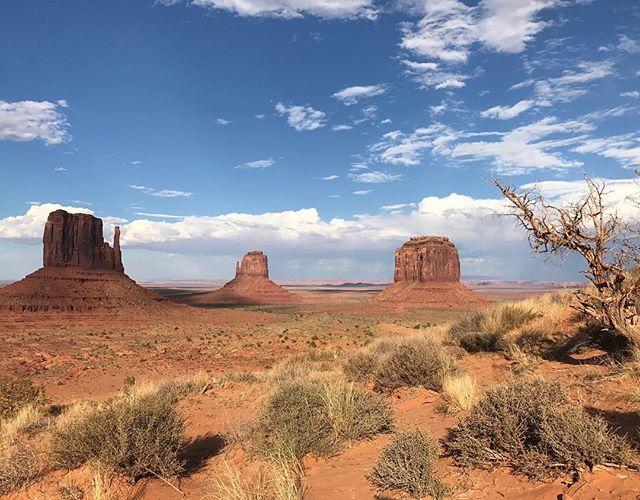 On a décidé qu'à gauche c'était une baleine, au fond une théïère et à droite une sorte d'éléphant :) #paréidolie #monumentvalley #ciloubidouilleinUSA