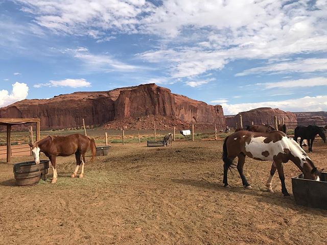 Tu peux faire des tours de chevaux dans Monument Valley mais perso, j'ai de plus en plus de mal avec les animaux à touristes. Pis monter sur un canasson (ou un éléphant, un âne, un dromadaire...), ce n'est clairement pas une source de joie pour moi ! #monumentvalley #ciloubidouilleinUSA