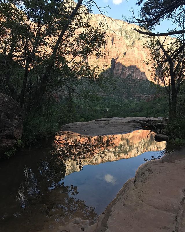 Petit reflet de montagne pendant la marche #zionpark #zion #ciloubidouilleinUSA