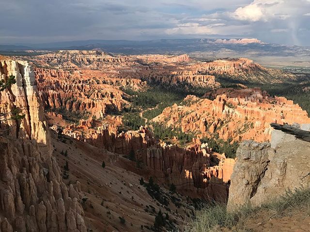 Bryce Canyon est constitué de Hoodoo, nom anglais pour les cheminées de fées (lui-même nom de ces colonnes de roches qui constituent Bryce Canyon) #brycecanyon #brycecanyonnationalpark #ciloubidouilleinUSA