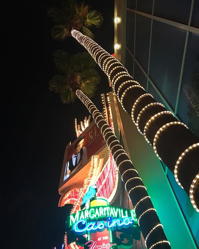 Nuit à Las Vegas ! On profite des lumières de la ville à défaut d'entrer vraiment dans son univers #lasvegas #ciloubidouilleinUSA