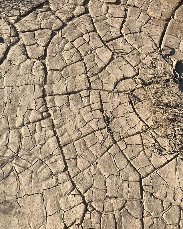 Death Valley porte son nom un poil morbide à cause des premiers colons qui la traversaient difficilement... partout des fentes de dessification de l'argile, comme autant de preuves (s'il en fallait) qu'il ne pleut pas beaucoup... #deathvalley #ciloubidouilleinUSA