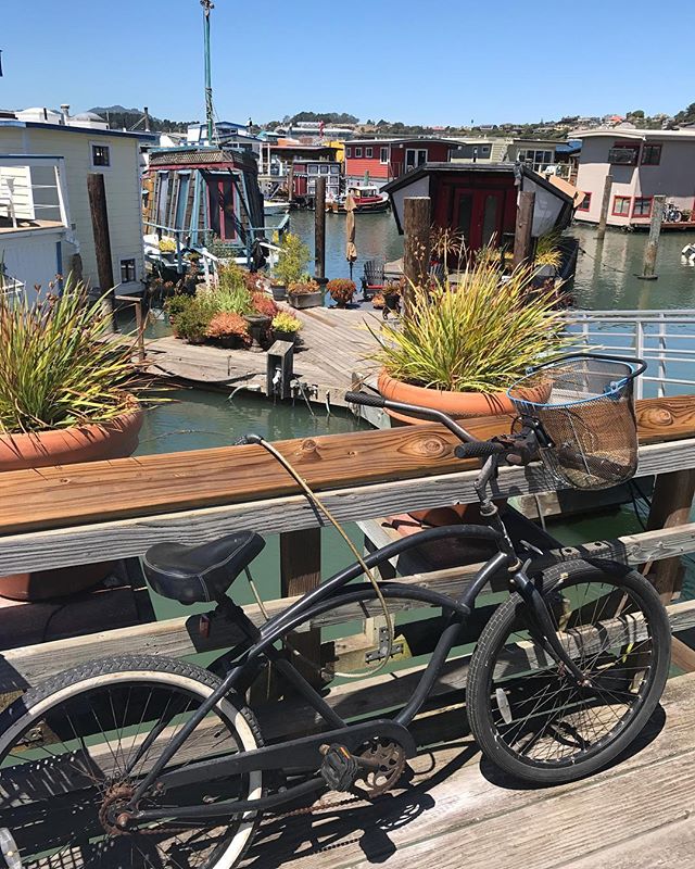 Un vrai plaisir de déambuler sur les pontons fleuris des maisons flottantes de Sausalito #sanfrancisco #sausalito #ciloubidouilleinUSA