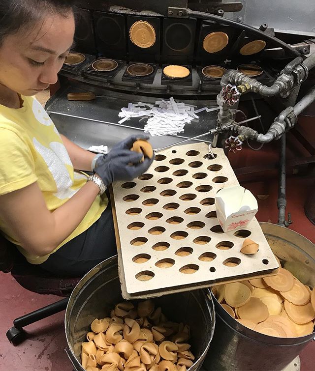 On est passé dans une fabrique de fortune cookies. Rigolo. On a mm fait nos cookies avec des messages personnalisés. #sanfrancisco #ciloubidouilleinUSA
