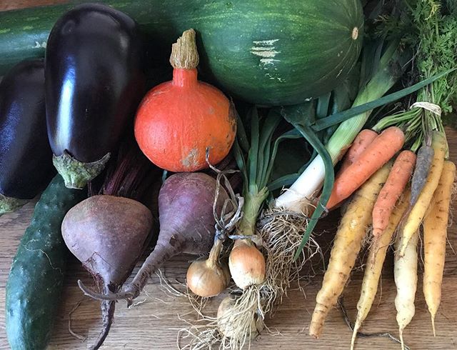 Couleurs d'automne... vous cuisinez quoi en ce moment ?