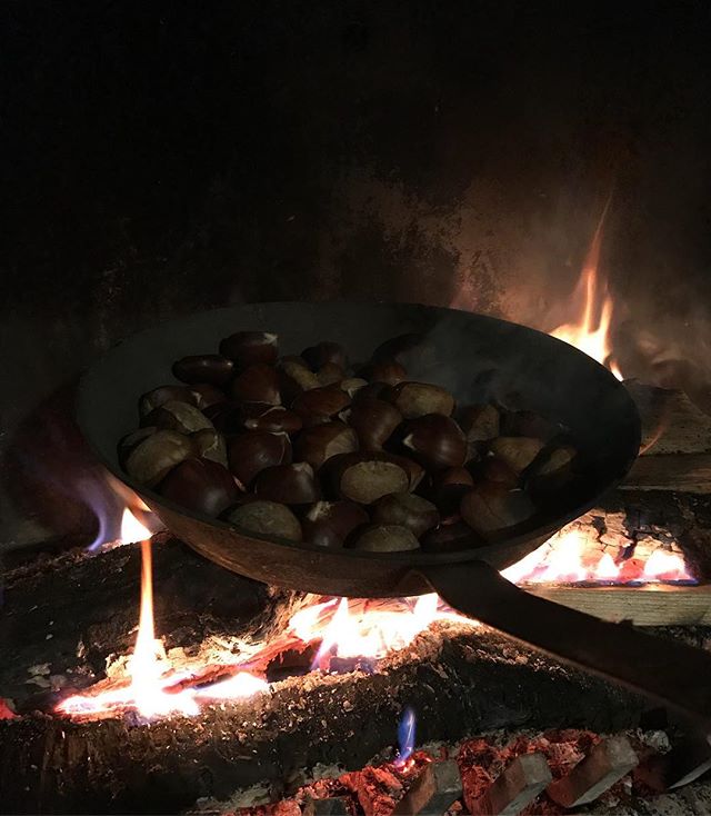 Chataignes grillées du samedi soir : la joie !