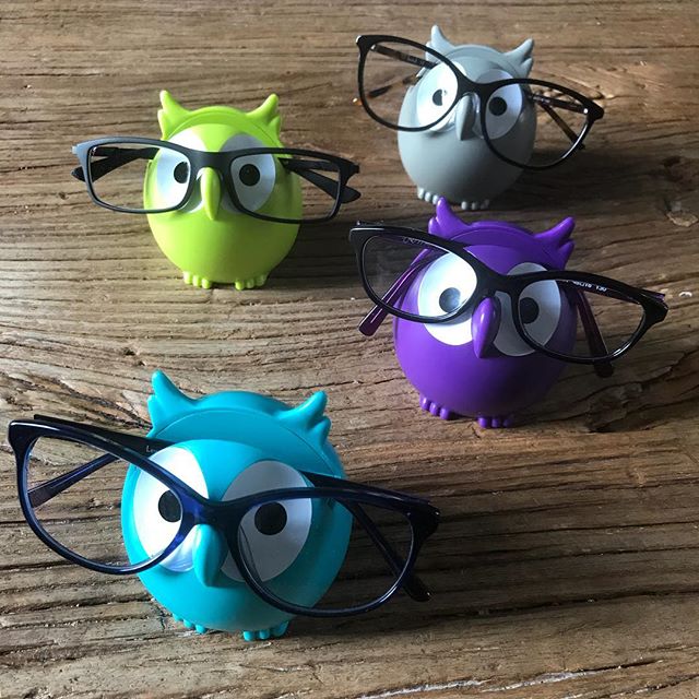 Un petit cadeau prématuré pour mes enfants 2 Hiboux porte lunettes de toutes les couleurs