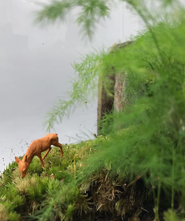 Ca parle terrarium sur mon blog. Celui que j’ai réalisé est détaillé étape par étape. Et il y a un autre à gagner ! (Lien dans ma bio)
