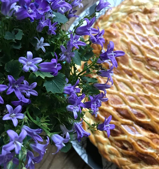 Ca parle galette des rois et surprises sur mon blog. Avec de la boulette dedans ^^ !