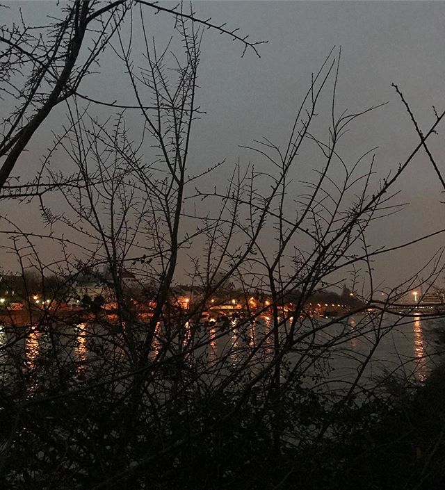 Footing du soir. Vous pensez à quoi quand vous faites du sport ? A rien ? À tout ? #runninggirl