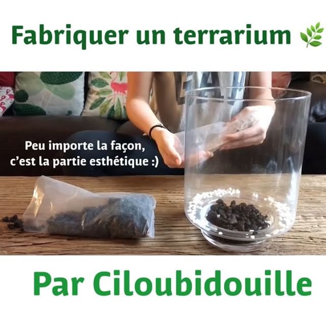 Petit extrait de la vidéo réalisée avec Maëlle sur comment fabriquer un terrarium. Si vous voulez la voir en entier, elle est sur ma page youtube (cf ma bio) ou sur l’article terrarium de mon blog :). #terrarium #terrariumlove #urbanjungle #howtomaketerrarium #gardendiy #greencraft
