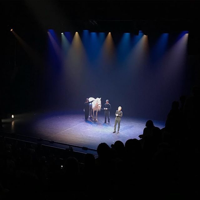 Alex Lutz était sur scène, avec un cheval, à l’Olympia ce soir. Pas sûre que ce fut l’idée scénographique du siècle... en revanche, je suis tjrs sous le charme du talent d’acteur de cet homme. On dirait qu’il sait tout faire. Chouette soirée au final :).