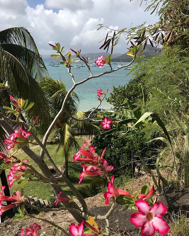 Matinée plage vers Pointe Marin. Là on visite Saint-Anne :) #martinique #cilouenmartinique