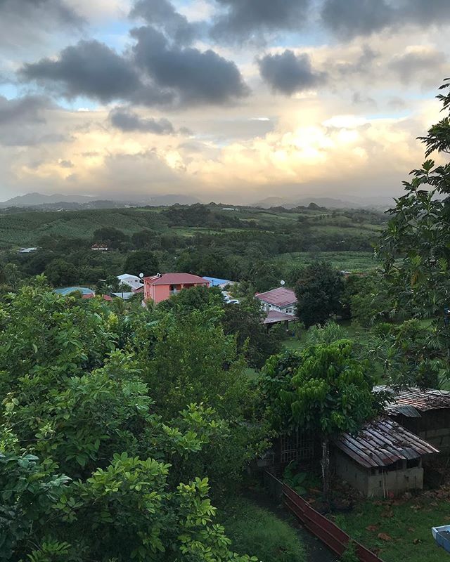 Je suis logée chez mon parrain, au coeur de l’île, dans les terres. #martinique #cilouenmartinique