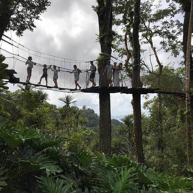 Tribu de Ciloubidouille à Balata. Le jardin botanique est une vraie merveille. L’ajout des passerelles suspendues est une chouette combinaison de joies enfantines et de jolis panoramas #cilouenmartinique #balata #martinique