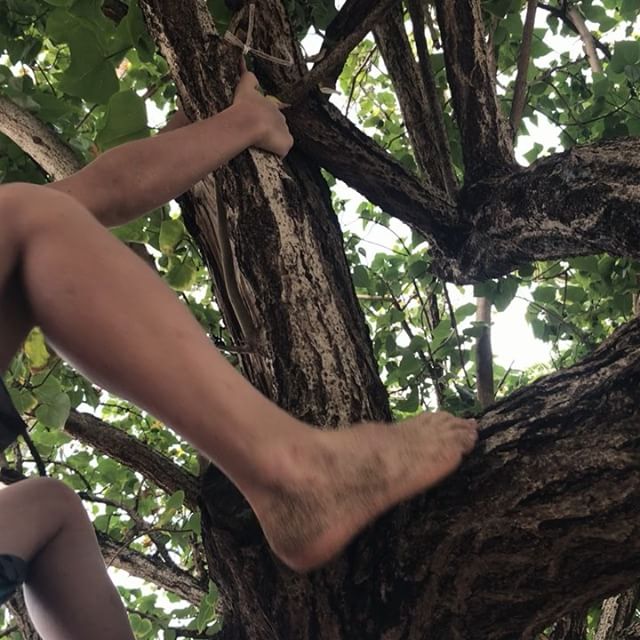Mon petit singe escaladeur chéri #cilouenmartinique #martinique