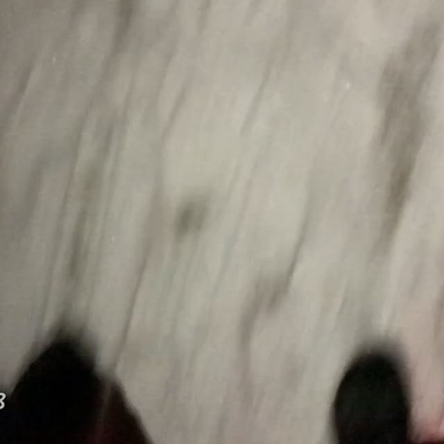 Le film de mon mois de février (tronqué sur le début parce que trop long pour Instagram). J’aime beaucoup cette routine et je ne cherche pas du tout à la rendre esthétique en mettant de la musique. J’adore entendre tous ces bruits de vie. Du coup, à côté, je me suis remis à faire des films de vacances et celui sur la Martinique va être chouette. J’hésite à un faire un dédié aux travaux de la future maison, pour garder des traces. C’est du boulot mais c’est aussi de la collect de souvenirs. Et vous ? Vous filmez aussi ? #cilou2018