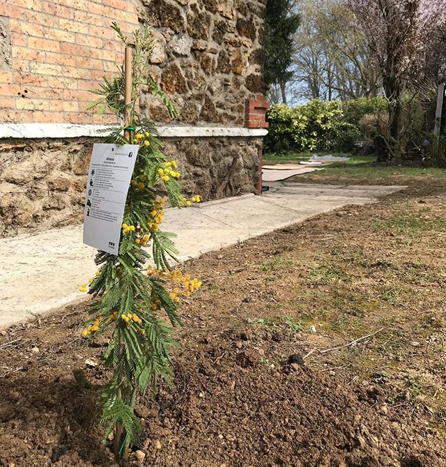Une chance qui s'offre à moi dans cette nouvelle maison 3 29087351 432466000539026 7961129372453175296 n