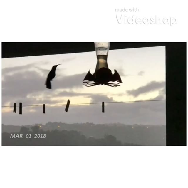 Mon mois de mars en vidéo :). La fin de la Martinique, la nouvelle maison, les travaux... en gros... #cilou2018