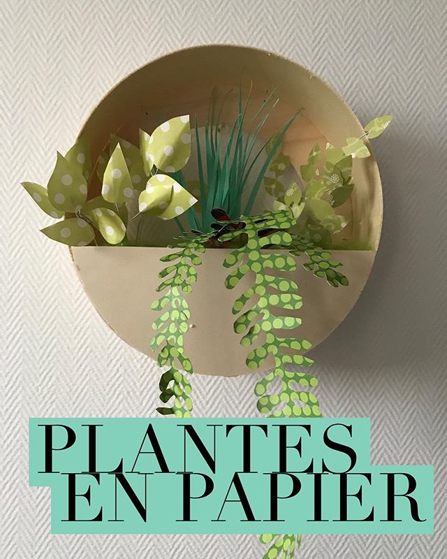Le tuto de cette déco murale est sur le blog. Ca parle de plantes en papier et des 16 ans de Maëlle :). #paperart #paperplants #papergarden #papercraft #ciloubidouille