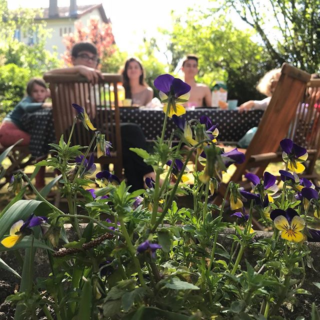 Ce soleil, ce jardin, ces enfants... la joie du quotidien :)