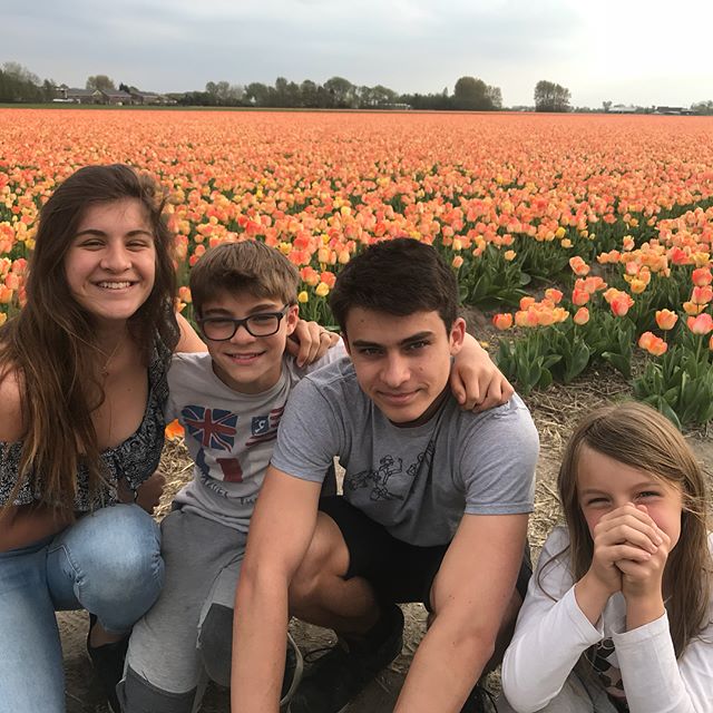 Passer un week-end en Hollande en famille 2 champs de tulipes oranges