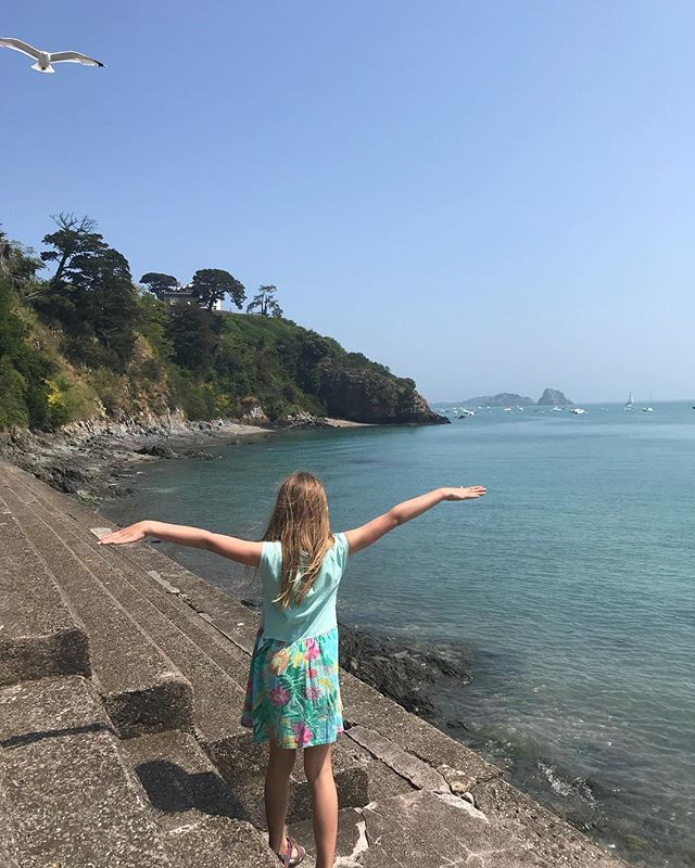 Deux mouettes à Cancale #breizh #bretagne #cancale