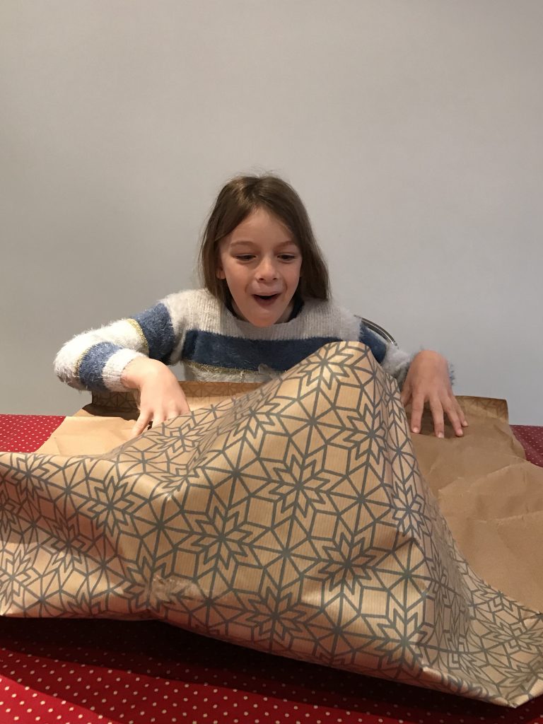 Maison de poupée dans une valise 26 surprise