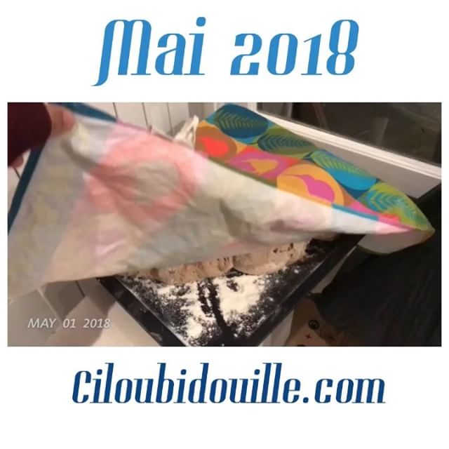 Et la petite vidéo de mai, qui me conforte dans le plaisir que j’ai à collecter ces secondes. C’est quand même drôlement chouette ce petit film accéléré, une vie en raccourci auraient dit les marins de Brassens. Et pour ceux qui me demandent, je passe par l’appli @1secondeveryday pour sélectionner et je remets tout au format carré avec les titres via @videoshopapp :) #cilou2018 #1secondeveryday
