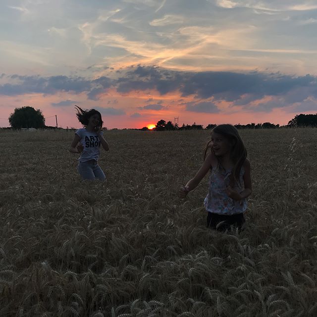 Deux blondinettes, un champ de blés mûrs et un soleil rouge... Les jolies soirées de l’été :) #nofilter #countryside #campagne