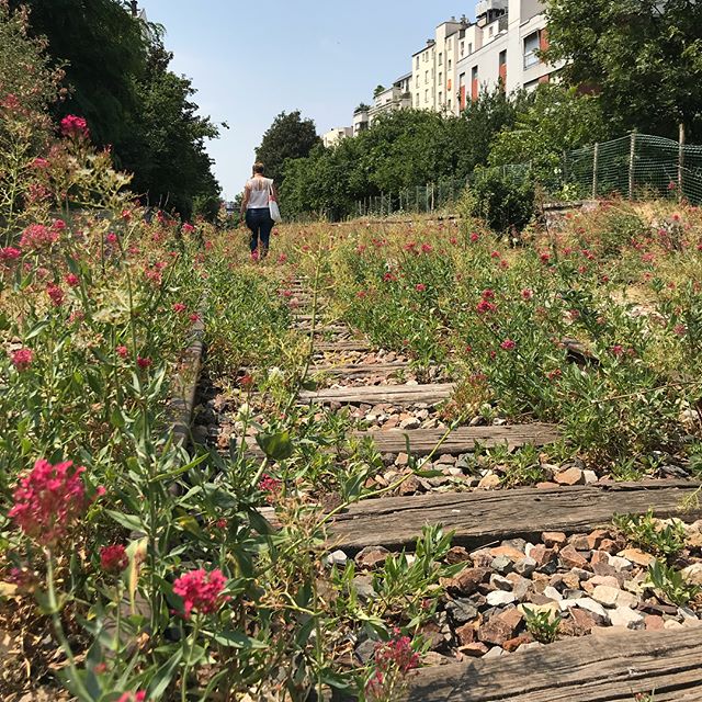 Ca faisait des années que je rêvais de fouler la Petite Ceinture, qui est une ancienne voie ferrée abandonnée de Paris. L’endroit est interdit au public, on a dû escalader pour entrer ^^ ! On est des punks avec ma cops ^^ ! Mais quelle joie de marcher sur ces rails, dans cette verdure et de profiter de la vue sur Paris !! A refaire :). #petiteceinture #parissecret #parisinsolite #parisinterdit
