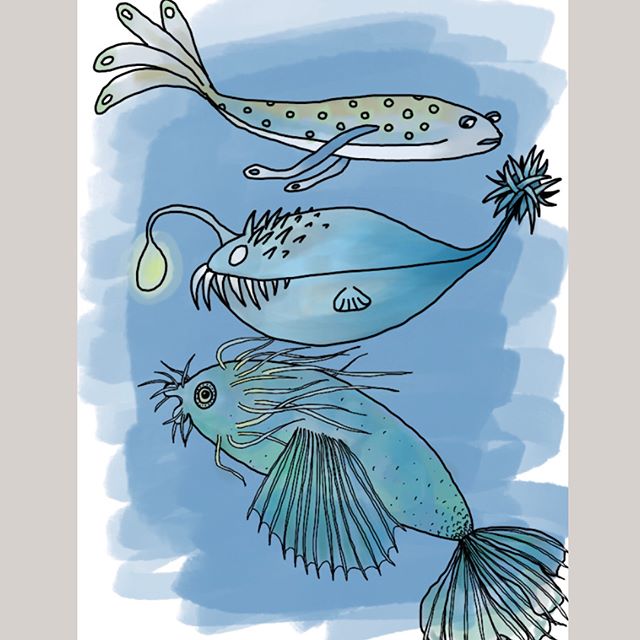 Progresser en dessin : dessin de 3 poissons atypiques