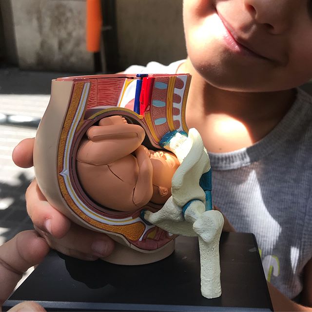 J’avais un créneau et je l’ai pris. Je voulais être là pour accueillir le bébé de ma petite soeur mais celui-ci joue les prolongations (déjà une semaine de plus que la date officielle). Je rentre sur Paris sans avoir embrassé ses petites mains délicates de nouveau né. L’essentiel c’est que tout aille bien pour ma frangine. Le reste n’est qu’une histoire de bisous reportés. #barcelone #streetart #barcelona