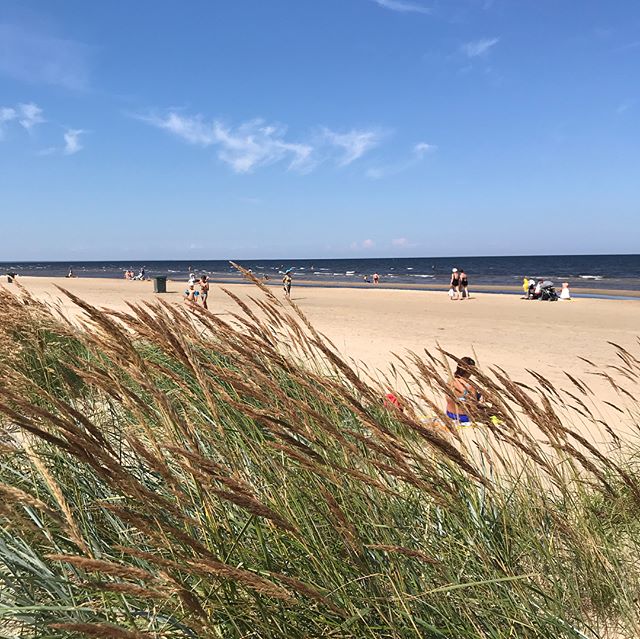 Journée plage à Jurmala qui est la station balnéaire des Lettons. Contrairement à ce que les photos peuvent laisser croire, c’était blindé de monde. Côté négatif : une plage touristique au sens moche du terme, pleine d’hôtels, de locations de trucs et de bidules... Côté positif : une plage immense au sable fin, plutôt propre, bordée d’une forêt de pin... qui pourrait être jolie sans tous ces bidules touristiques en plastique dessus. Une eau pas si froide selon les enfants. Et toujours le soleil ! #jurmala #latviatravel #latvia #lettonie #cilouinlettonie