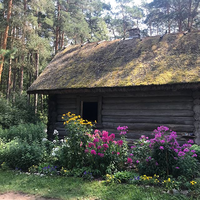 Nous avons passé l’aprem dans un musée de plein air, un immense parc reproduisant les maisons lettones des siècles passées : école, églises, moulins, habitations... Une belle balade à l’ombre (on la recherche) dans un paysage moyenâgeux. #riga #lettonie #latviatravel #cilouinlettonie #latvia
