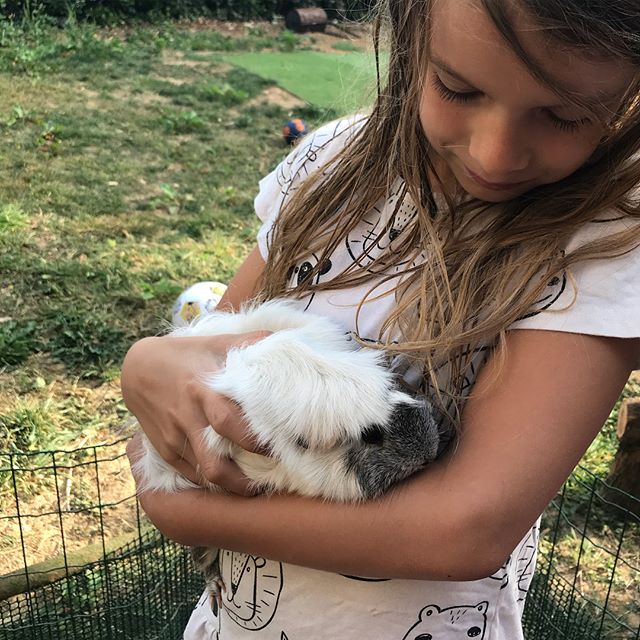 Ma fille, qui est un exemple de détermination, de quêtes de solutions et de développement personnel (pensées positives) ou est juste super têtue (pensées maternelles), a demandé aux voisins de lui prêter leurs hamsters quelques jours... Nous voilà avec Plume et Comète à la maison ! Pffff.... je vous jure ^^ !